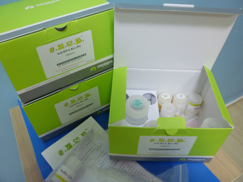 SP植物DNA中量提取试剂盒 SP Plant DNA Midi Kit(25)
